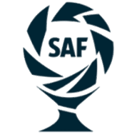 Copa de la Liga Profesional logosu