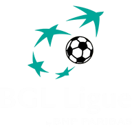 National Division Qualification logosu