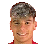 Raul Tassoni