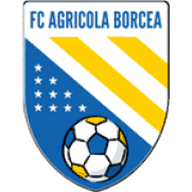Agricola Borcea