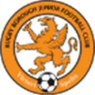 Rugby Borough Women (W)