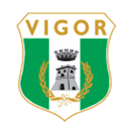 Vigor Lamezia